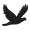 icon 0